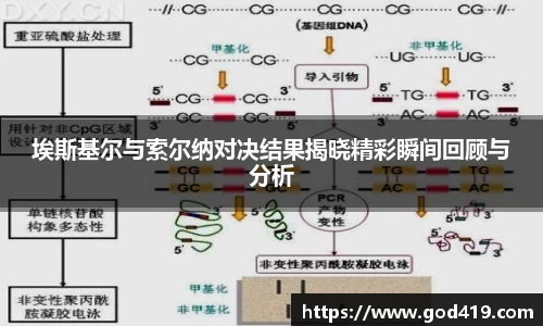 6163银河net163